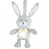 Игрушка мягкая музыкальная CHICCO "Звездный кролик" 00011129000000